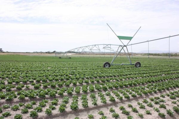 farm being watered